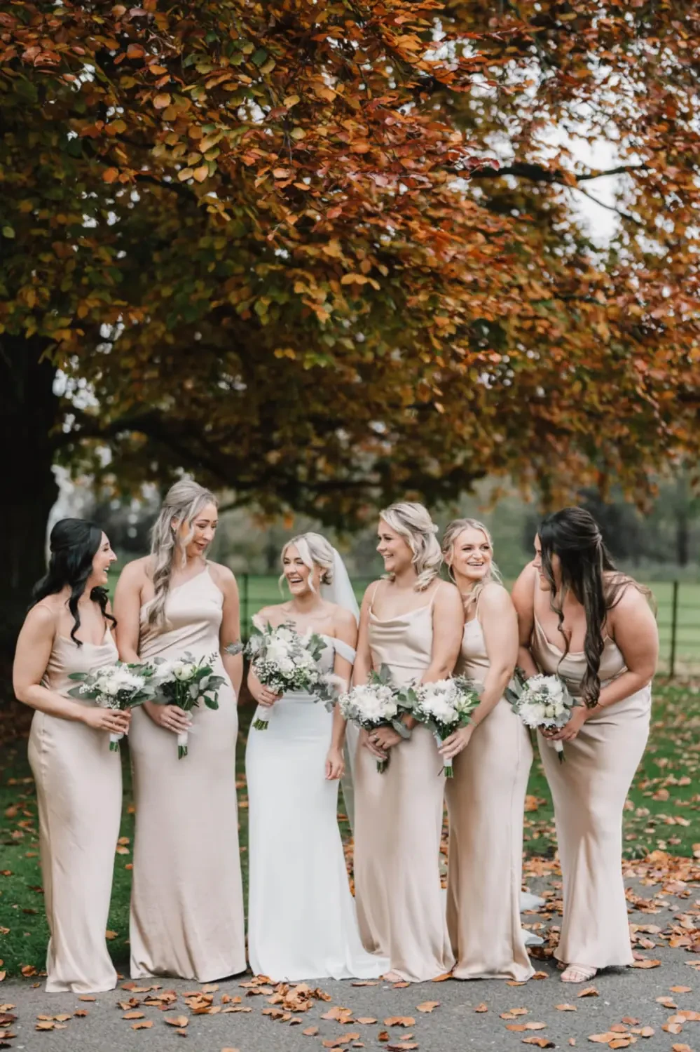 Gallery Image #slidesGrid14